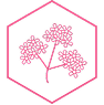 Verbena flower icon in pink hexagon